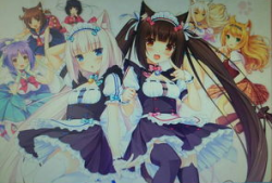 猫娘动漫,萌动时光，探寻二次元世界的奇幻之旅